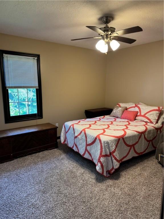 91 Celtic Ash Ct, Cranberry Twp, PA 16066 - bedroom with carpet floors, ceiling fan, and a textured ceiling
