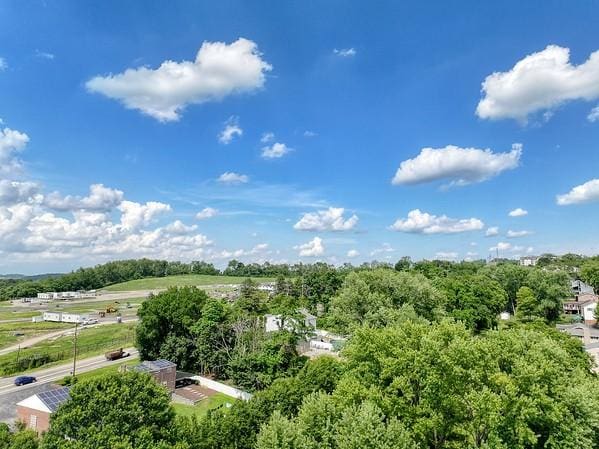 315 Pennsylvania Ave, Plum Boro, PA 15147 - drone / aerial view