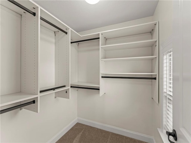 4402 Walnut Ridge Cir, South Fayette, PA 15057 - walk in closet featuring carpet