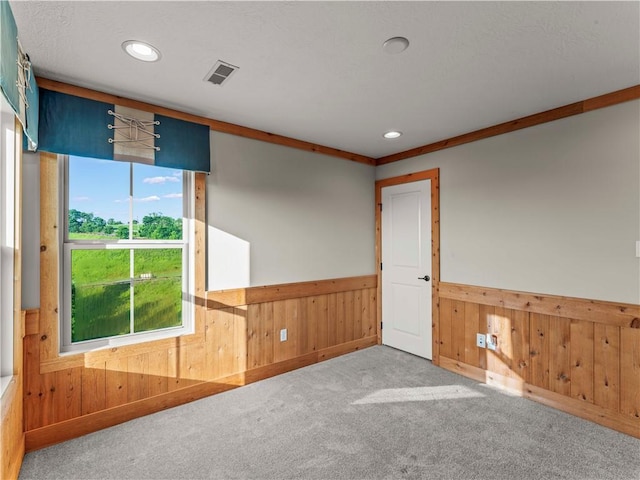 4402 Walnut Ridge Cir, South Fayette, PA 15057 - unfurnished room with a wainscoted wall, wooden walls, carpet floors, and recessed lighting