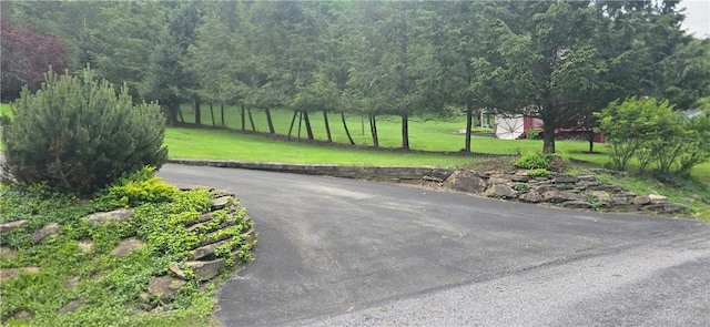305 Naylor, Greater Johnstown School District, PA 15906 - photo 17
