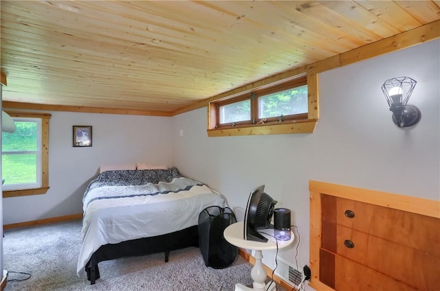 866 Connolly Ave, South Park, PA 15236 - bedroom with wooden ceiling, multiple windows, and carpet