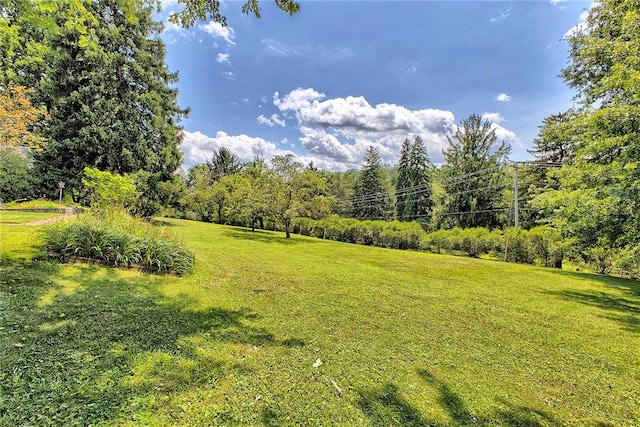211 Abbe Pl, Delmont, PA 15626 - photo 34