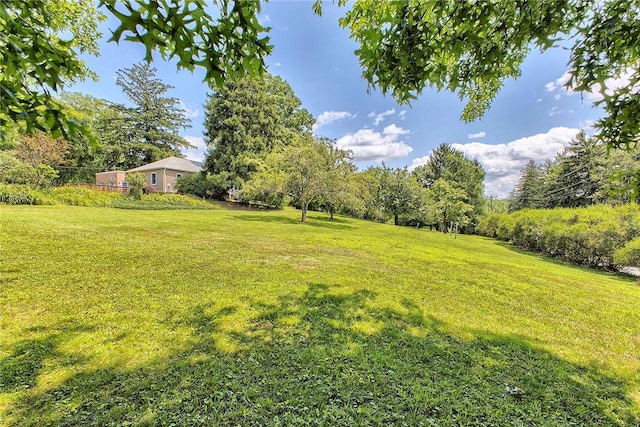 211 Abbe Pl, Delmont, PA 15626 - photo 35