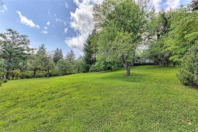 211 Abbe Pl, Delmont, PA 15626 - photo 39