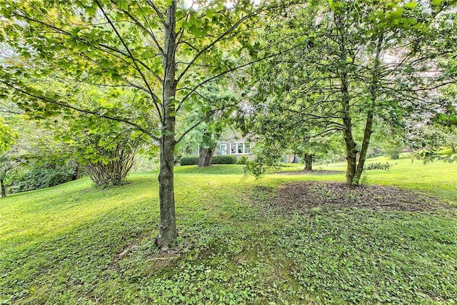 211 Abbe Pl, Delmont, PA 15626 - photo 40