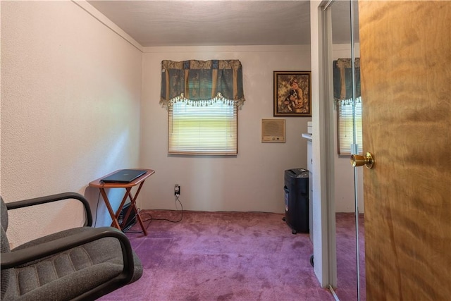 5731 Interboro, Lincoln Place, PA 15207 - sitting room featuring carpet flooring