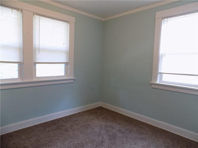 437 Green St, Munhall, PA 15120 - unfurnished room with crown molding and dark colored carpet