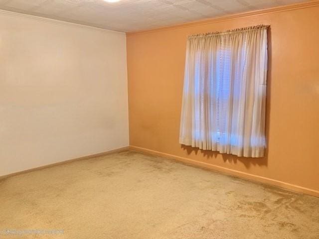 1117 Idaho Ave, Harrison Twp, PA 15065 - unfurnished room with crown molding and carpet flooring