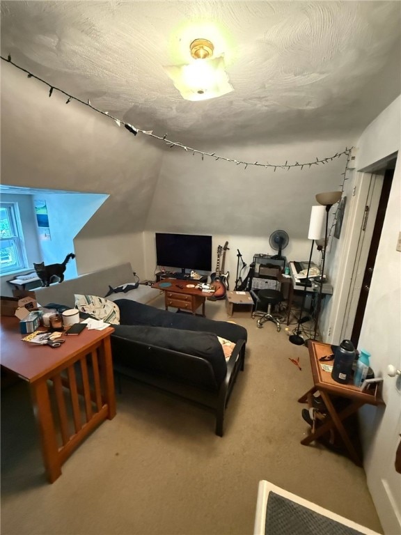 5837 Nicholson St, Squirrel Hill, PA 15217 - living area with carpet flooring and a textured ceiling