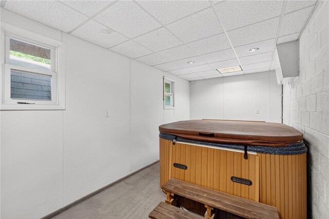 2509 Thomas St, Hempfield Twp, PA 15634 - miscellaneous room with a paneled ceiling, carpet, healthy amount of natural light, and concrete block wall