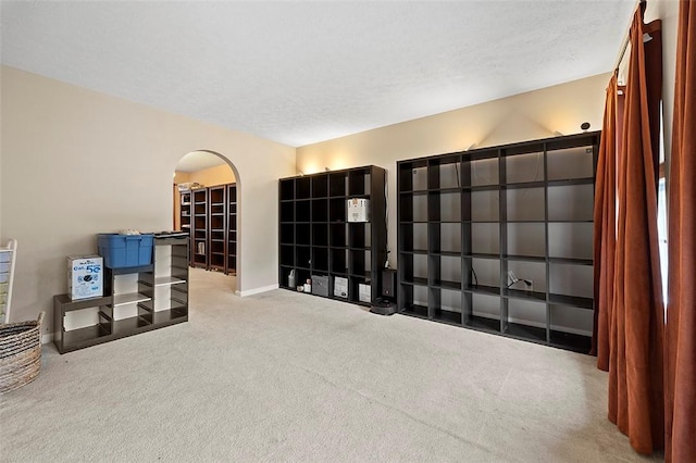 1071 Shawnee Ridge Dr, Cheswick, PA 15024 - spare room featuring carpet and arched walkways