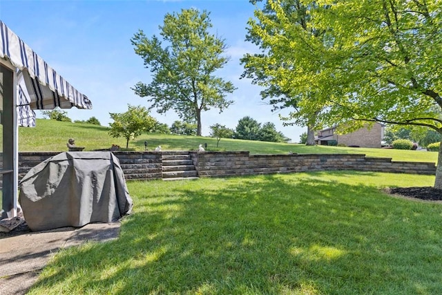 99 Walnut Dr, Mckees Rocks, PA 15136 - view of green lawn