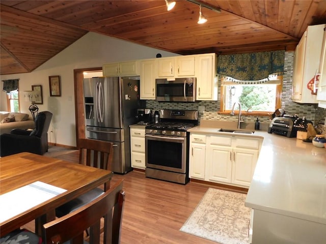 118 Harrison St, Elizabeth Twp/Boro, PA 15037 - kitchen featuring stainless steel appliances, vaulted ceiling, wooden ceiling, rail lighting, and healthy amount of natural light