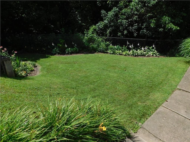 118 Harrison St, Elizabeth Twp/Boro, PA 15037 - view of yard