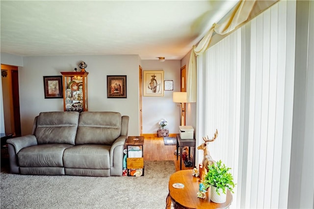 3015 Graham Ave, Windber, PA 15963 - living area with wood finished floors
