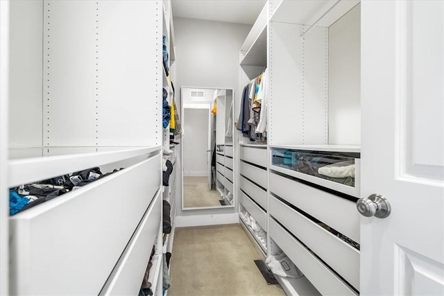 611 Suismon St, East Allegheny, PA 15212 - walk in closet featuring light colored carpet