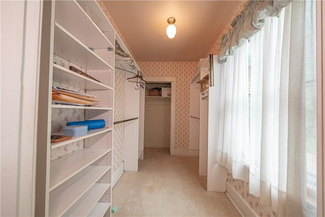 860 W Ingomar Rd, Mccandless, PA 15237 - spacious closet with light colored carpet