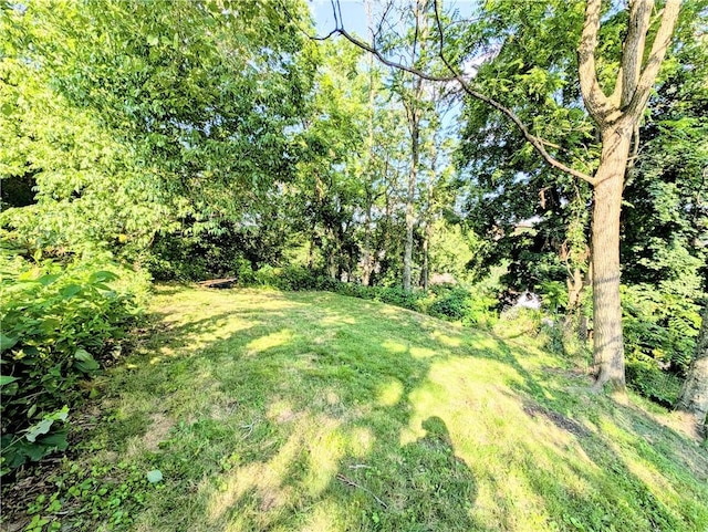 213 N 5th St, Jeannette, PA 15644 - view of green lawn