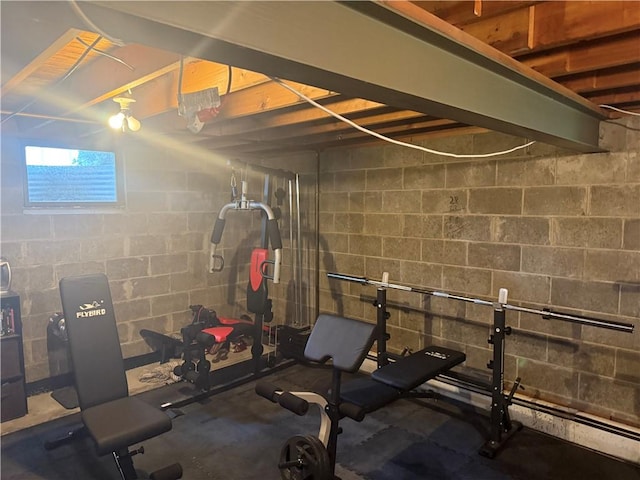 105 White Oak Dr, Twp Of But Se, PA 16001 - exercise area featuring concrete block wall