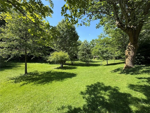960 Watt Rd, Washington Twp, PA 15613 - photo 7
