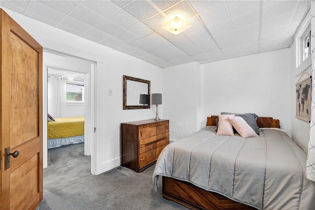 915 Summit St, Mckeesport, PA 15132 - bedroom with carpet flooring