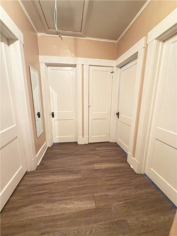 832 Maplewood Ave, Ambridge, PA 15003 - corridor featuring dark wood-style flooring and ornamental molding