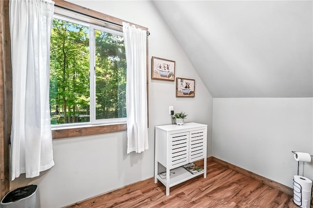 8995 Puritan Ln, Conneaut Twp, PA 16424 - additional living space with vaulted ceiling and wood finished floors