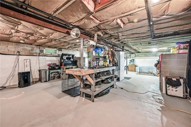 8995 Puritan Ln, Conneaut Twp, PA 16424 - unfinished basement with a workshop area
