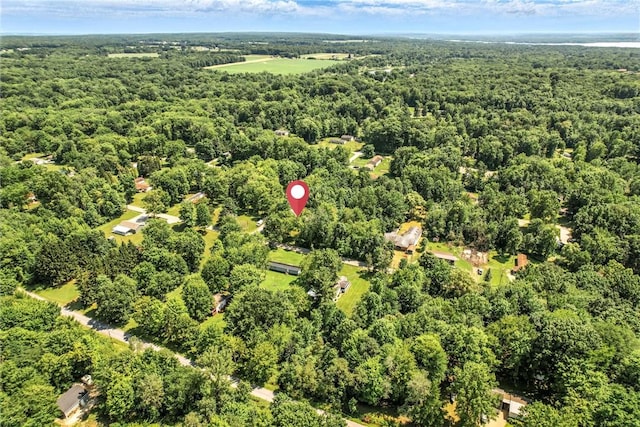 8995 Puritan Ln, Conneaut Twp, PA 16424 - view of property location featuring a forest