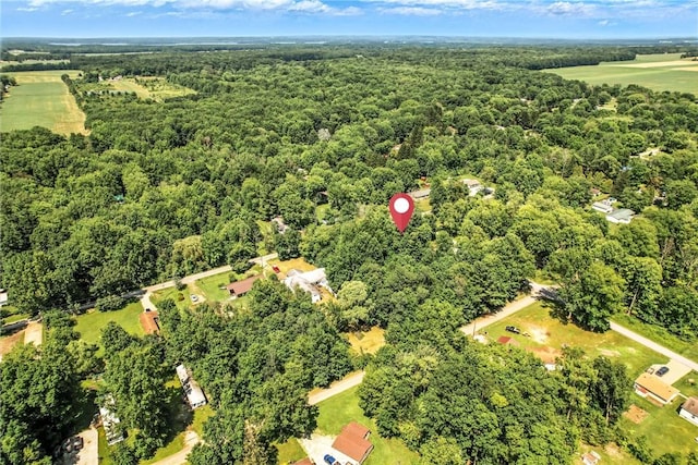 8995 Puritan Ln, Conneaut Twp, PA 16424 - aerial overview of property's location featuring a forest