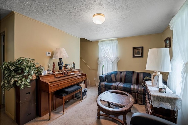 102 Pierce Ave, Sharpsville, PA 16150 - living area with carpet and a textured ceiling