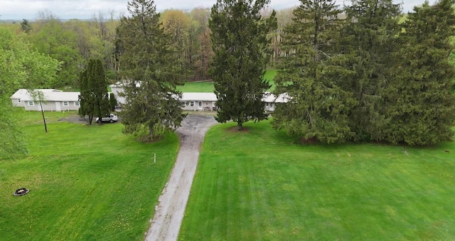 377 Mercer Rd, Hempfield Twp, PA 16125 - view of grassy yard with dirt driveway and a view of trees