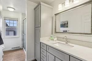 403 Worth Ct, Cranberry Twp, PA 16066 - bathroom featuring vanity, wood finished floors, and a shower with door