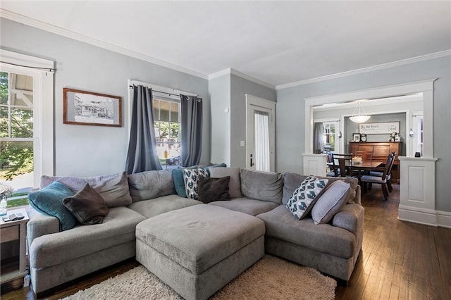 120 Euclid Ave, Sharon, PA 16146 - living area with ornamental molding and dark wood-style floors
