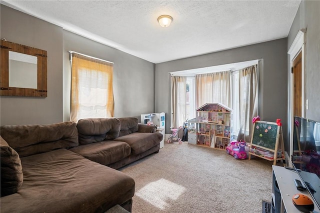 120 Euclid Ave, Sharon, PA 16146 - carpeted living area with a textured ceiling