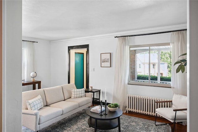 3863 Beechwood Blvd, Greenfield, PA 15217 - living area featuring radiator heating unit, wood finished floors, and healthy amount of natural light