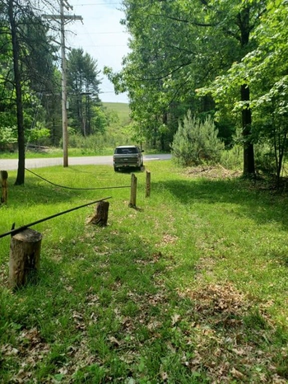 943 Walley Run Dr, Clarion, PA 16233 - view of grassy yard