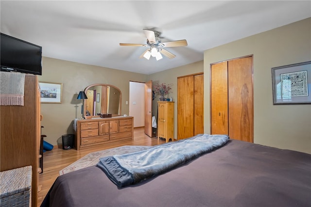 2666 Pointview Dr, Hampton, PA 15101 - bedroom with light wood-style floors, multiple closets, and a ceiling fan