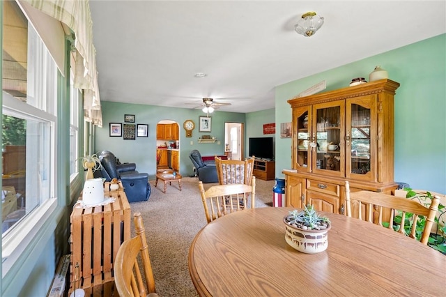 817 E Jamestown Rd, Green Twp, PA 16134 - carpeted dining room featuring arched walkways and a ceiling fan