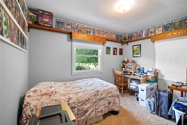 817 E Jamestown Rd, Green Twp, PA 16134 - view of carpeted bedroom