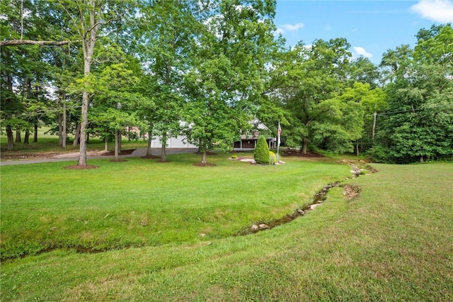 419 Monroe Rd, Buffalo Twp, PA 16055 - photo 35