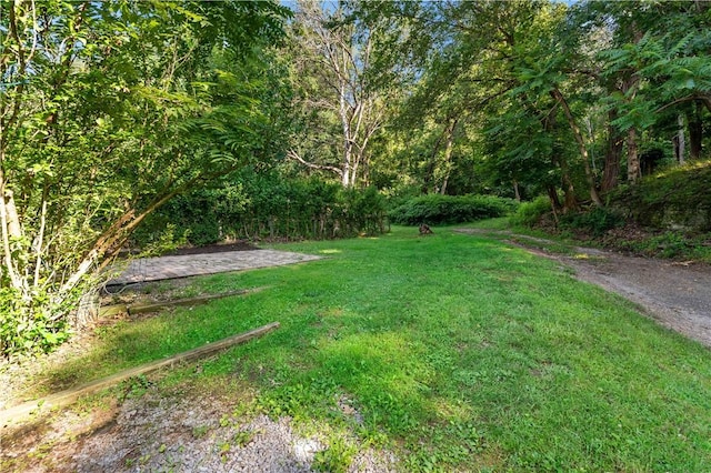 3656 Baytree, Observatory Hill, PA 15214 - view of grassy yard with a forest view