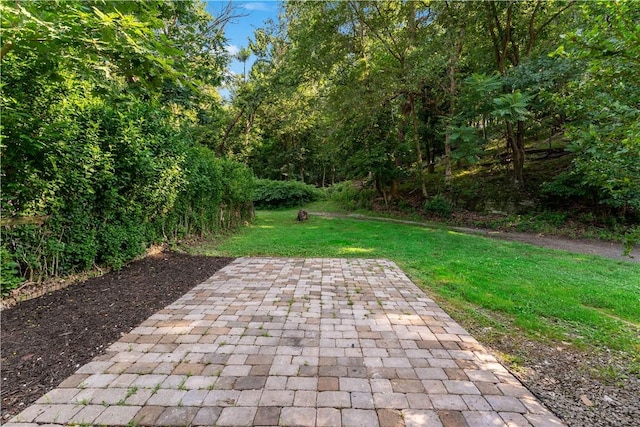 3656 Baytree, Observatory Hill, PA 15214 - view of green lawn featuring a patio