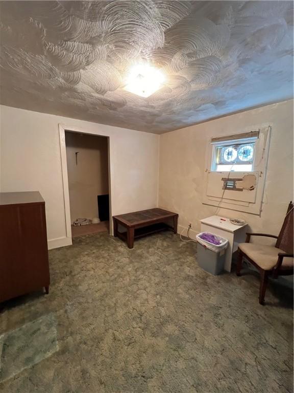 7 S Wabash St, Mount Pleasant Twp, PA 15361 - below grade area featuring carpet