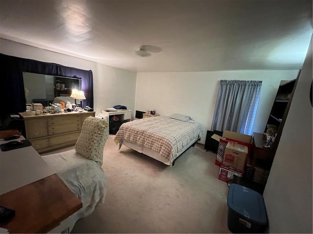 7 S Wabash St, Mount Pleasant Twp, PA 15361 - view of carpeted bedroom