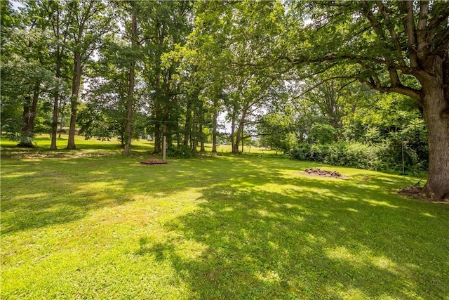 582 Rte 917, Somerset Twp, PA 15360 - photo 32