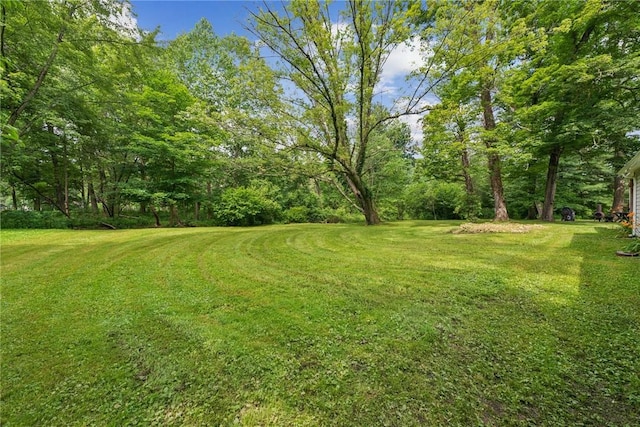 117 Puppy Path Ln, Ligonier Twp, PA 15658 - photo 28