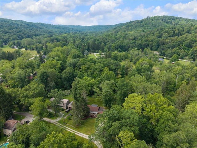 117 Puppy Path Ln, Ligonier Twp, PA 15658 - photo 37