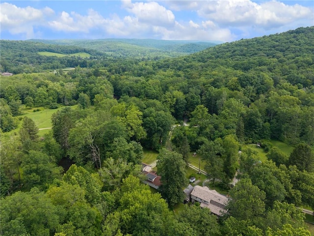 117 Puppy Path Ln, Ligonier Twp, PA 15658 - photo 38
